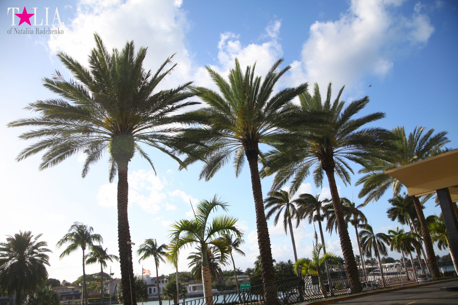 Yachts, Palms, Bay - The promenade of Middle Miami Beach, Collins Avenue